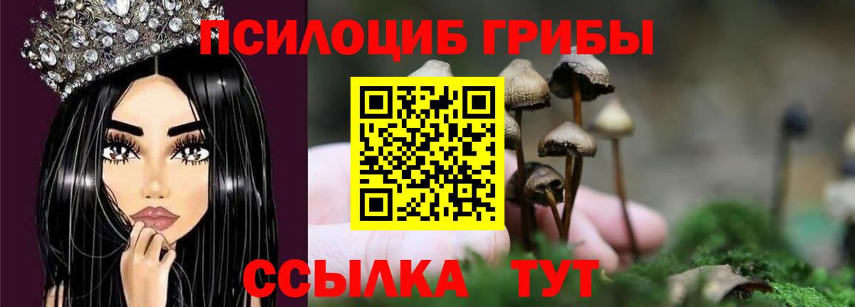 Псилоцибиновые грибы Psilocybine cubensis  Вход с VPN  Грязи 